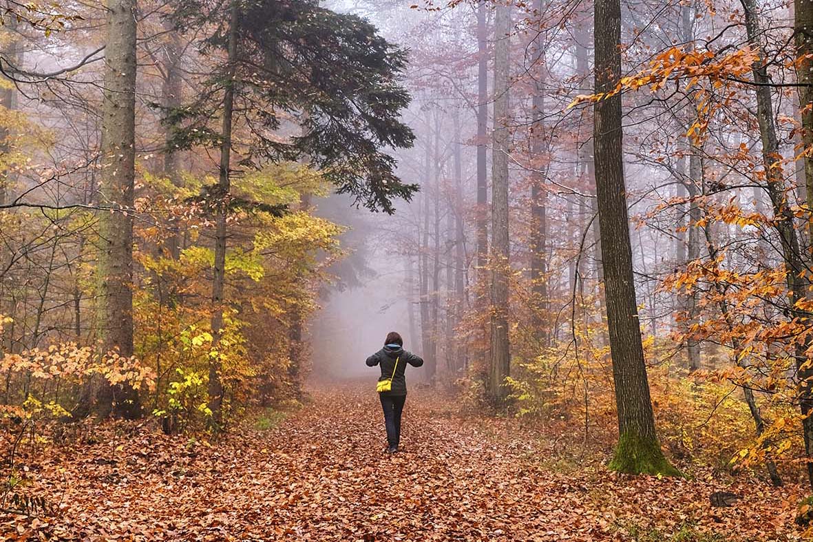 Frau spaziert durch herbstlichen Wald in Schaffhausen